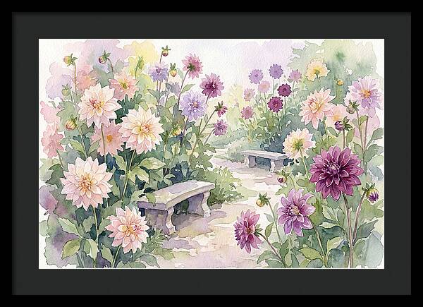 Dahlia Blossoms In Bloom