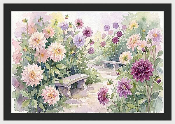 Dahlia Blossoms In Bloom