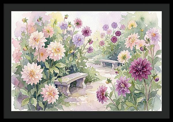 Dahlia Blossoms In Bloom