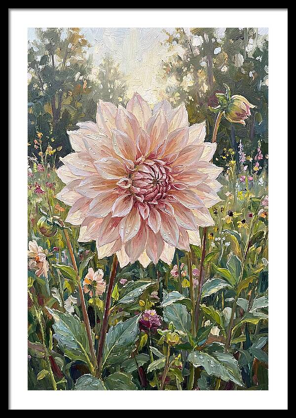Dahlia In Bloom