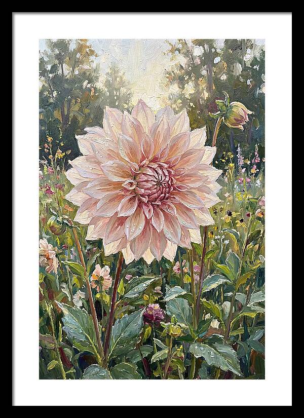 Dahlia In Bloom