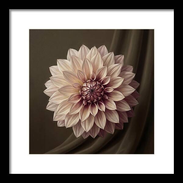 Dahlia Serenity In Bloom 2444