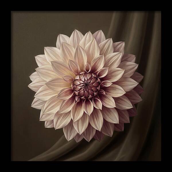 Dahlia Serenity In Bloom 2444