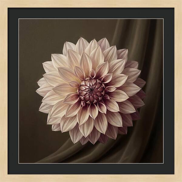 Dahlia Serenity In Bloom 2444