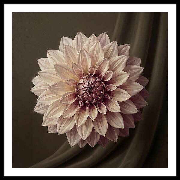 Dahlia Serenity In Bloom 2444
