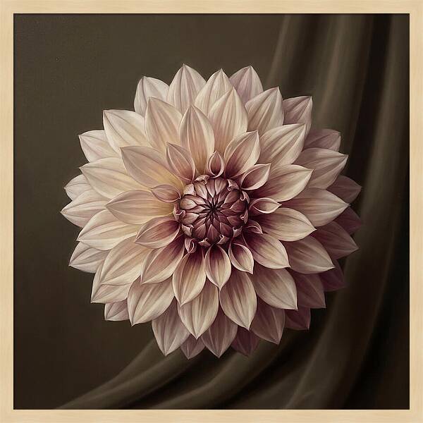 Dahlia Serenity In Bloom 2444