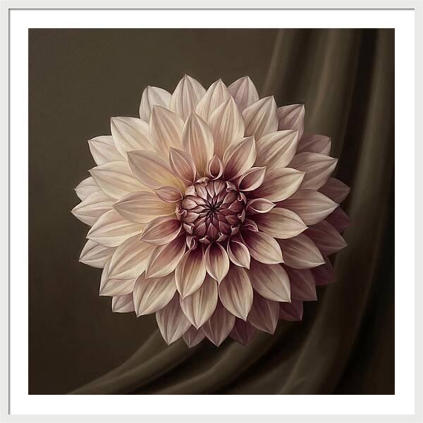 Dahlia Serenity In Bloom 2444
