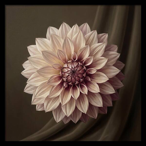Dahlia Serenity In Bloom 2444