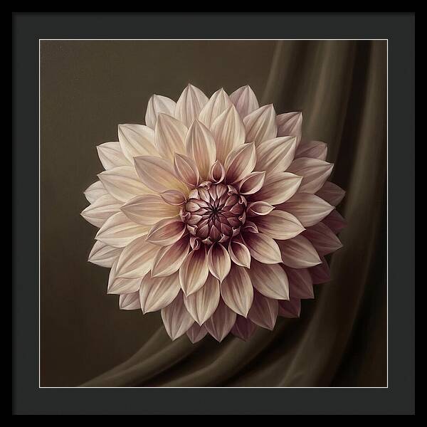 Dahlia Serenity In Bloom 2444