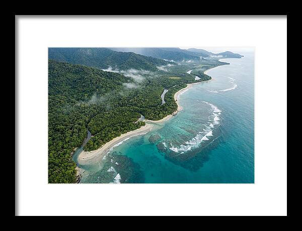 Daintree Rainforest Serenity