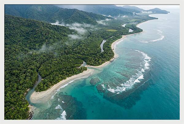 Daintree Rainforest Serenity