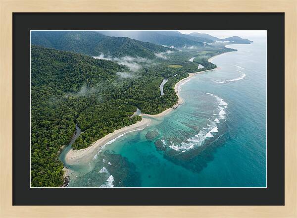 Daintree Rainforest Serenity