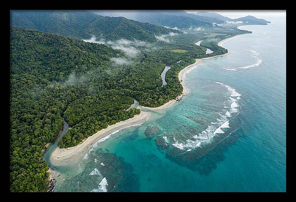 Daintree Rainforest Serenity