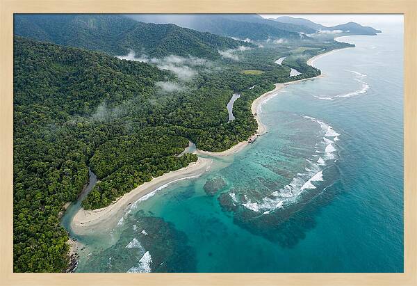 Daintree Rainforest Serenity