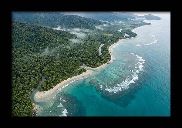 Daintree Rainforest Serenity