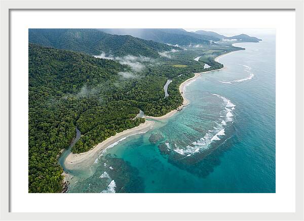 Daintree Rainforest Serenity