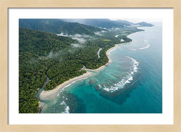 Daintree Rainforest Serenity