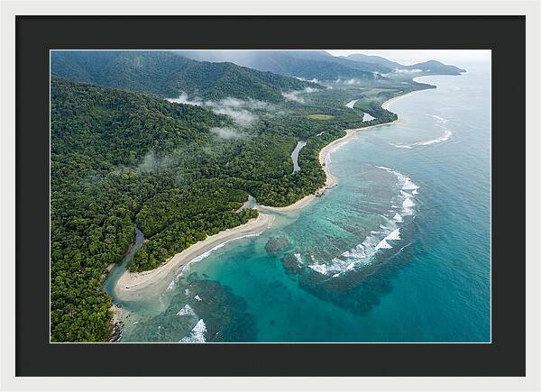 Daintree Rainforest Serenity