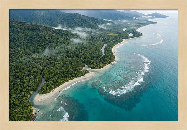 Daintree Rainforest Serenity