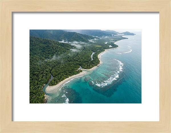Daintree Rainforest Serenity