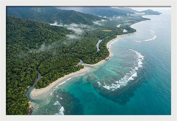 Daintree Rainforest Serenity