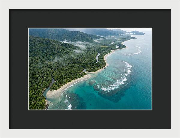 Daintree Rainforest Serenity