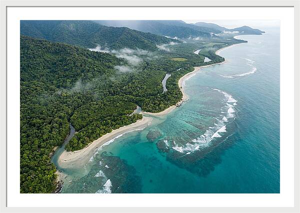Daintree Rainforest Serenity