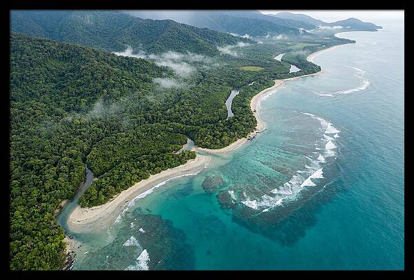 Daintree Rainforest Serenity
