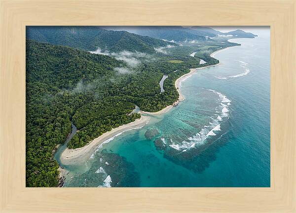 Daintree Rainforest Serenity