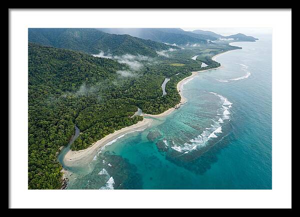 Daintree Rainforest Serenity
