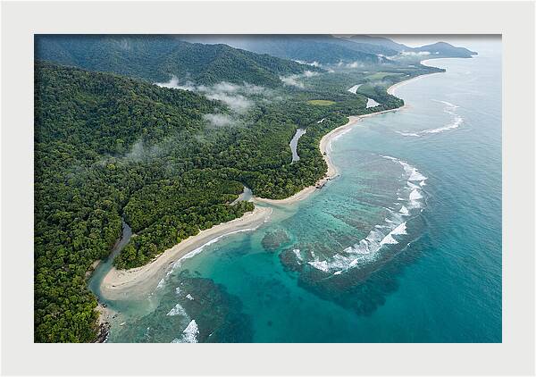 Daintree Rainforest Serenity