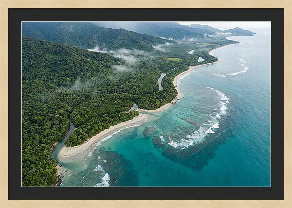 Daintree Rainforest Serenity