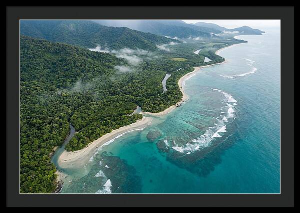 Daintree Rainforest Serenity
