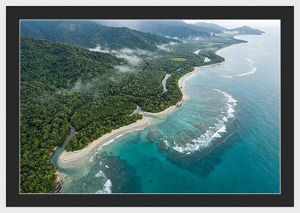 Daintree Rainforest Serenity