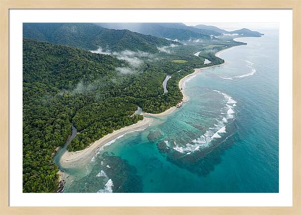 Daintree Rainforest Serenity