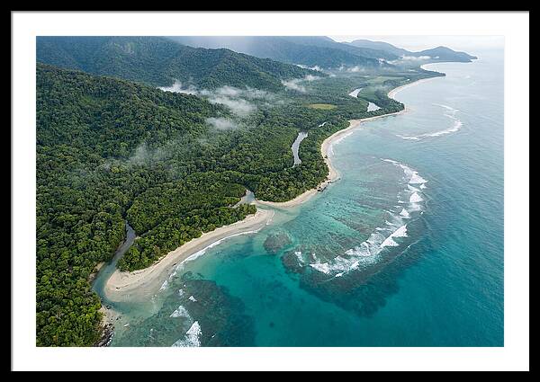 Daintree Rainforest Serenity