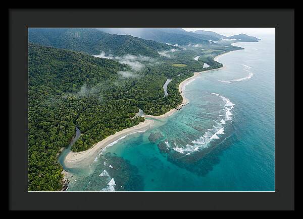 Daintree Rainforest Serenity