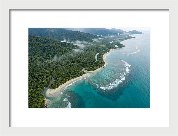 Daintree Rainforest Serenity