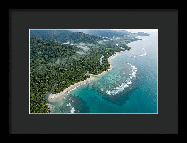 Daintree Rainforest Serenity