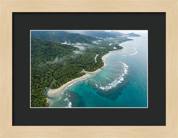 Daintree Rainforest Serenity