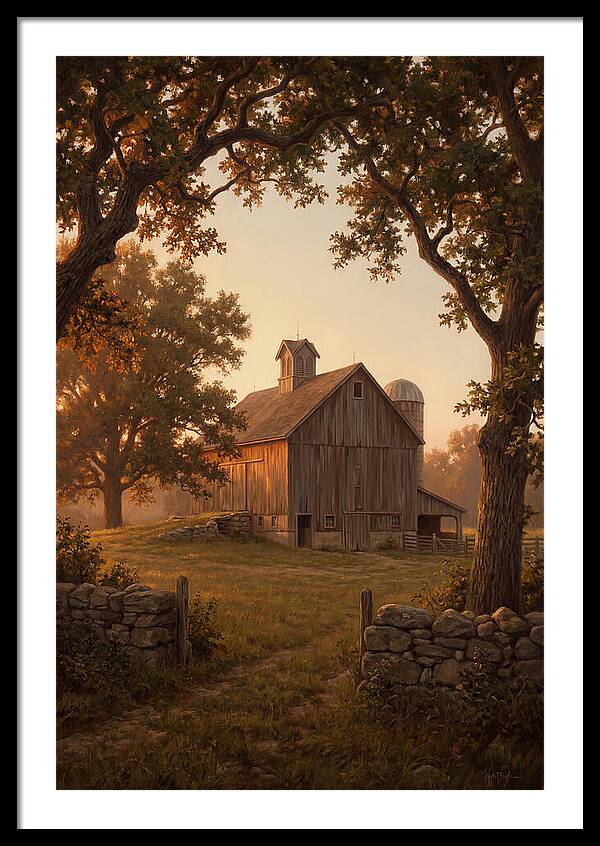 Dairy Barn At Golden Hour