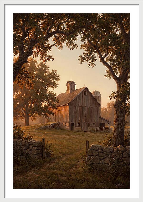 Dairy Barn At Golden Hour