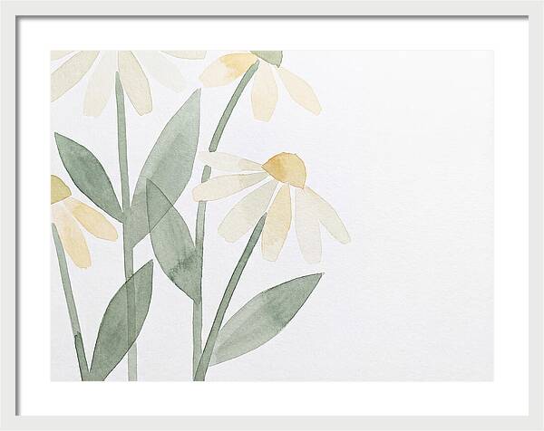 Daisy Field Serenity