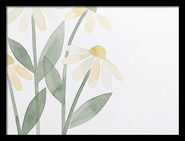 Daisy Field Serenity