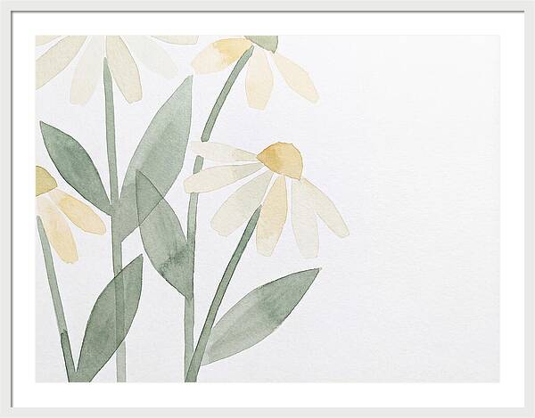 Daisy Field Serenity