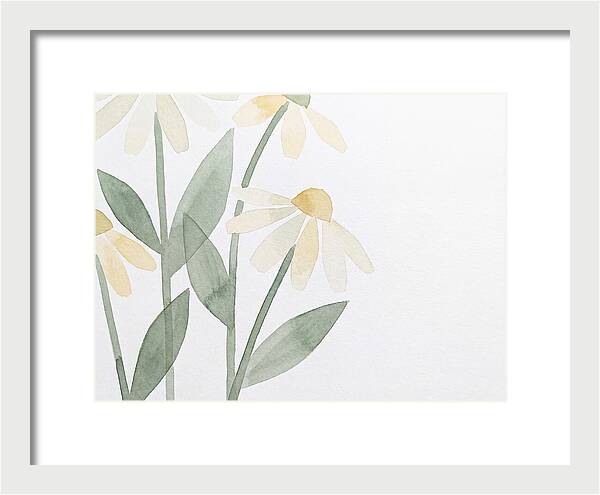 Daisy Field Serenity