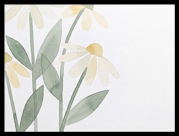 Daisy Field Serenity