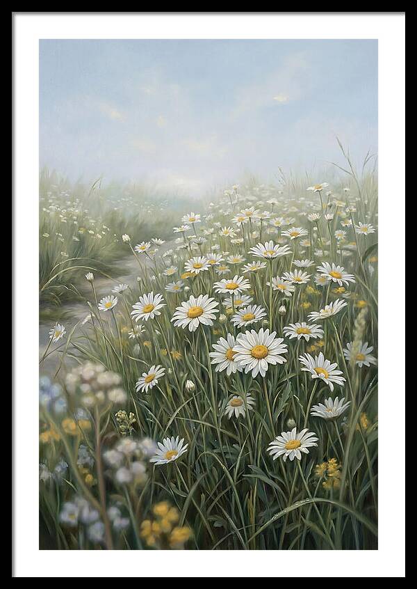 Daisy Field Under Blue Sky