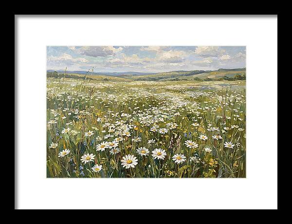Daisy Field Under Open Skies