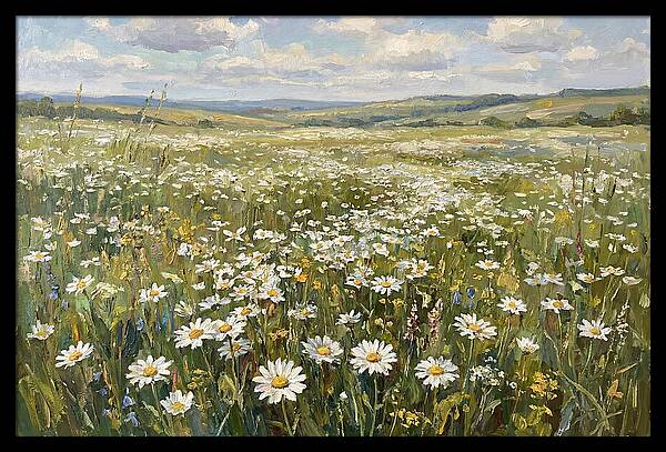 Daisy Field Under Open Skies
